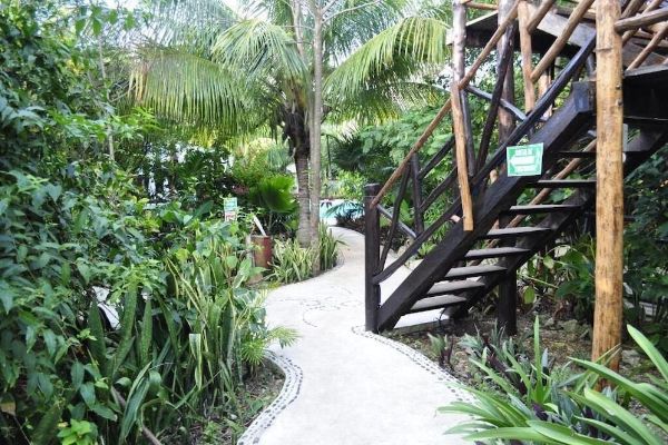 Green Tulum (Halbinsel Yucatán)